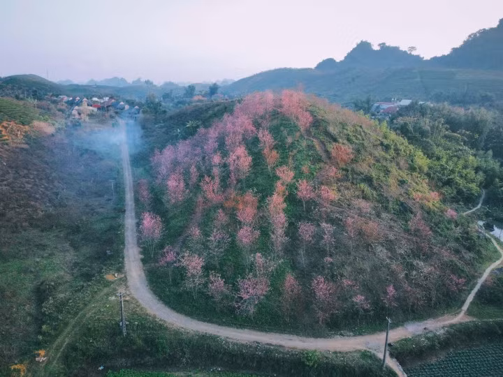 (Ảnh: Quang Kiên)