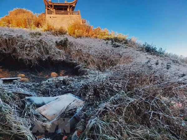 Nhiet do xuong duoi 0 do C, Lao Cai xuat hien suong muoi hinh anh 1