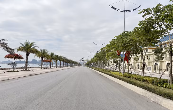 Tuyến đường nối đường bao biển Hạ Long - Cẩm Phả với trung tâm TP Cẩm Phả đã được đưa vào sử dụng.