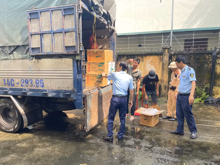Đội Quản lý thị trường số 2 (Cục QLTT Quảng Ninh) phối hợp với Đội Cảnh sát giao thông số 3 (Công an tỉnh) phát hiện, xử lý 110kg lê nhập lậu vào đầu tháng 5/2024.