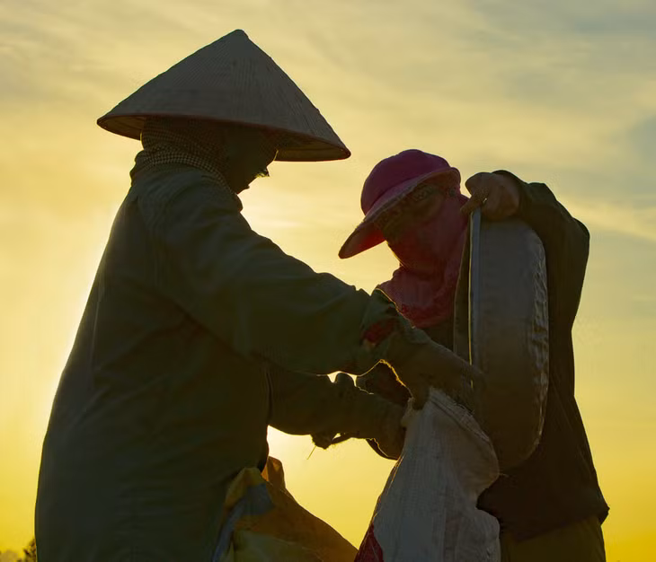 Bảo quản thóc. Ảnh: Nguyễn Long Giang