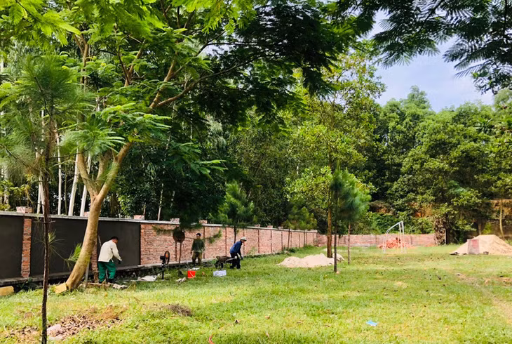 Chuẩn bị cho năm học mới, Trường Tiểu học Phương Đông A (TP Uông Bí) được cải tạo hạng mục tường rào.