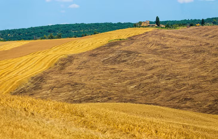 Tuscany nằm ở vùng trung Italy, phía bắc được bao phủ bởi những vườn nho và các khu rừng, trong khi đó phần lớn diện tích phía nam lại là những cánh đồng lúa mì ngập các thung lũng và đồi núi.