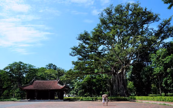 Tu sửa cấp thiết ba tòa Thái miếu ở Lam Kinh ảnh 2 Tu sửa cấp thiết ba tòa Thái miếu ở Lam Kinh ảnh 2