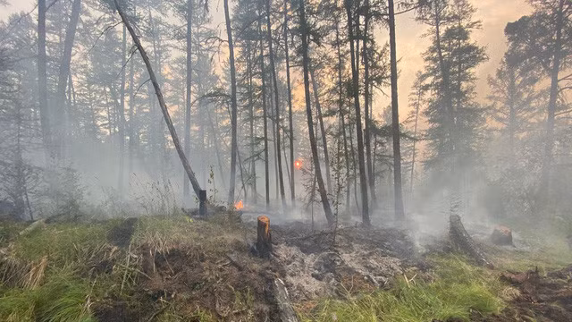 Siberia đối mặt với cháy rừng sau tháng 6 khô nóng nhất trong 133 năm qua - Ảnh 2.