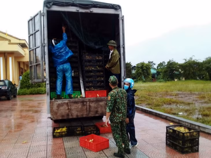 52.000 con giống gia cầm nhập lậu đã bị đoàn công tác của xã Đông Ngũ phát hiện và bắt giữ.