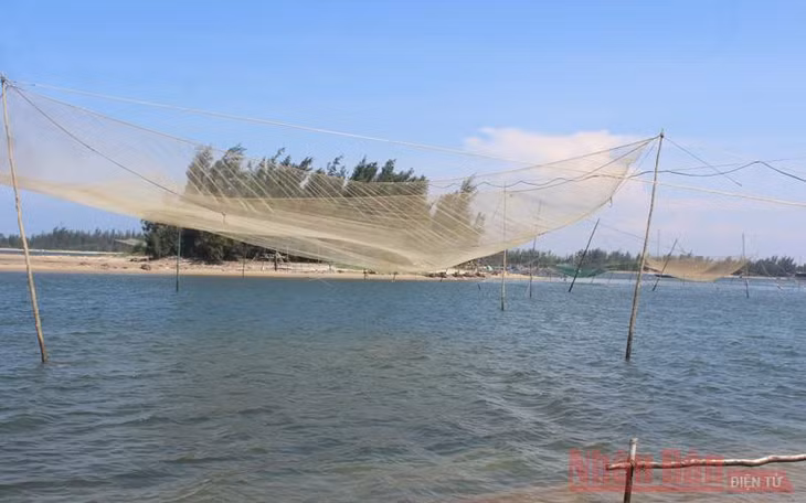 Từ những vó lưới cá buông trên mặt nước trưa hè như một nốt nhạc, bức tranh tĩnh lặng và hạnh phúc cho ai đó bắt gặp cảnh này.