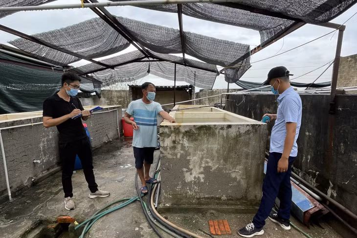 Cán bộ Trung tâm Phát triển quỹ đất TP Hạ Long kiểm đếm mặt bằng dự án Khu đô thị phức hợp Hạ Long Xanh.