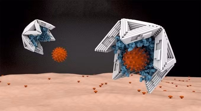 Bẫy có kích thước nano, được đưa vào cơ thể người để vô hiệu hóa adenovirus gây truyền nhiễm. Ảnh: Science Daily.