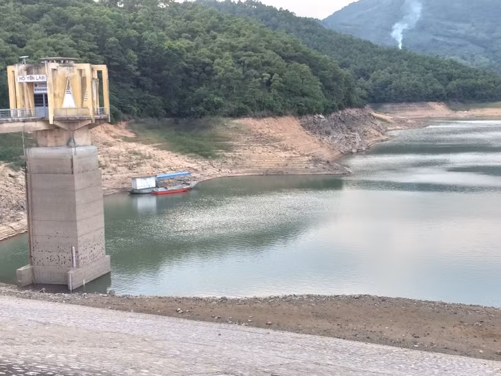 Rừng khu vực hồ Yên Lập được bảo vệ nghiêm ngặt, đảm bảo môi trường, giữ gìn nguồn sinh thuỷ, cung cấp nước cho người dân.