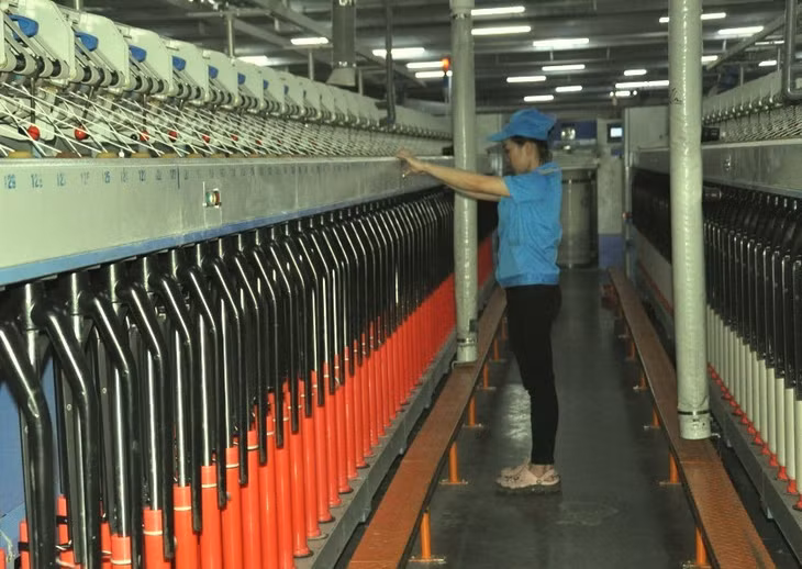 Khu Công nghiệp Cảng biển Hải Hà hiện thu hút hơn 12.000 lao động.