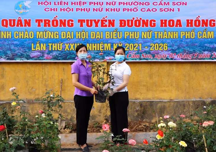 Chi hội Phụ nữ khu phố Cao Sơn 1 (phường Cẩm Sơn) ra quân trồng tuyến đường hoa hồng, ngày 2/5/2021.