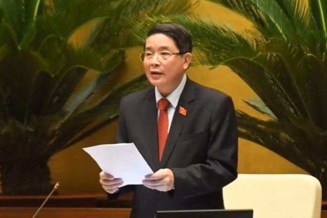 Phó Chủ tịch Quốc hội Nguyễn Đức Hải (Ảnh: Báo quốc tế).