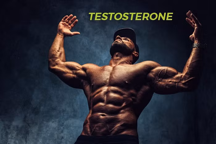 Testosterone ảnh hưởng như thế nào đến thành công? ảnh 1 Testosterone ảnh hưởng như thế nào đến thành công? ảnh 1