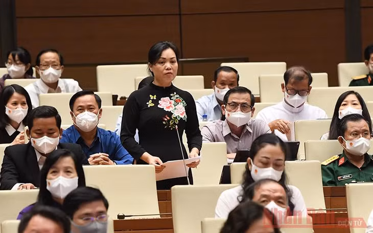 Đại biểu Huỳnh Thị Phúc (Bà Rịa - Vũng Tàu) đề nghị cần có giải pháp cụ thể hơn để tạo điều kiện sinh kế bền vững cho người nông dân. (Ảnh: Duy Linh)