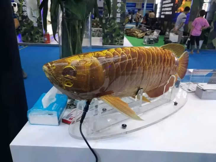 Trung Quốc tiết lộ máy bay không người lái giống hệt loài cá rồng. Ảnh: O.C