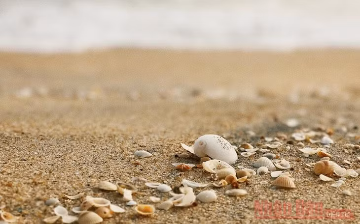Vỏ sò, ốc nhỏ rải rác trên bờ biển Tư Hiền. Là nơi cửa sông đổ ra biển, có núi non, có làng mạc, khu vực đầm Cầu Hai – cửa biển Tư Hiền còn nhiều tiềm năng phát triển du lịch sinh thái.