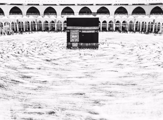 Ảnh: Talib Almarri/IPP Awards