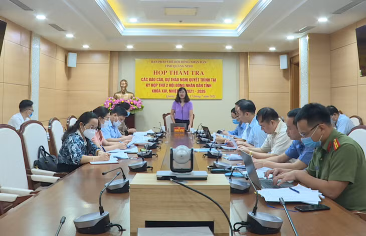 Đồng chí Nguyễn Thị Huệ, Trưởng Ban Pháp chế, HĐND tỉnh, phát biểu tại cuộc họp.
