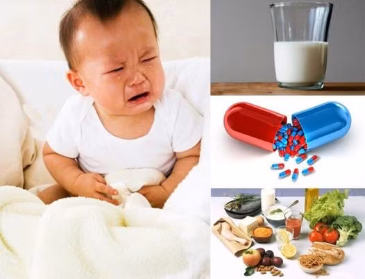 Nếu cho ăn quá nhiều đạm, quá nhiều chất béo sẽ khiến hệ tiêu hóa non nớt của trẻ bị quá tải.