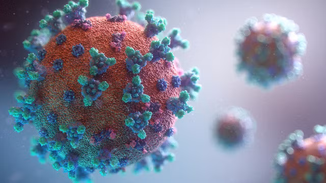 Nguyên nhân đằng sau sự suy yếu của virus SARS-CoV-2 tại Nhật Bản - Ảnh 6.