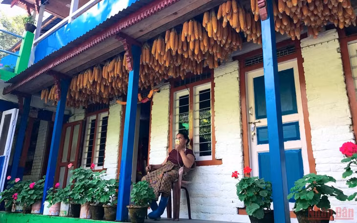 Một phụ nữ bản địa ngồi thư giãn trước hiên nhà trồng đầy hoa và treo ngô mới thu hoạch.