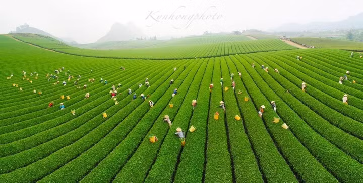 (Ảnh: Đức Kỳ)