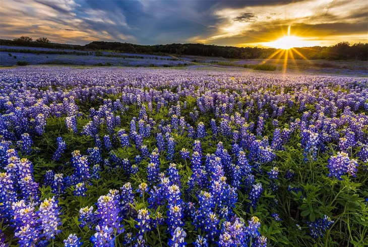 Miền sơn cước Texas