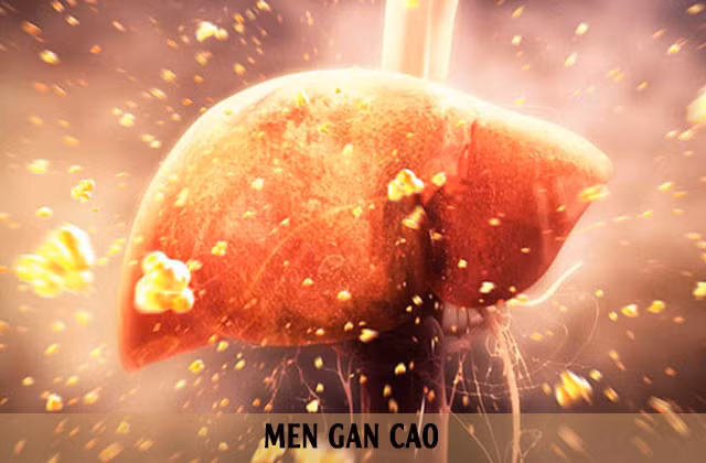 Men gan cao có nguy hiểm không? - Ảnh Internet