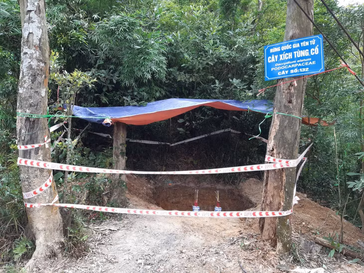 Khu vực phát hiện cổ vật.