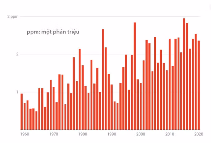 Biểu đồ mức tăng mật độ CO2 trong khí quyển qua từng năm trong giai đoạn 1960 - 2020. Ảnh: NOAA