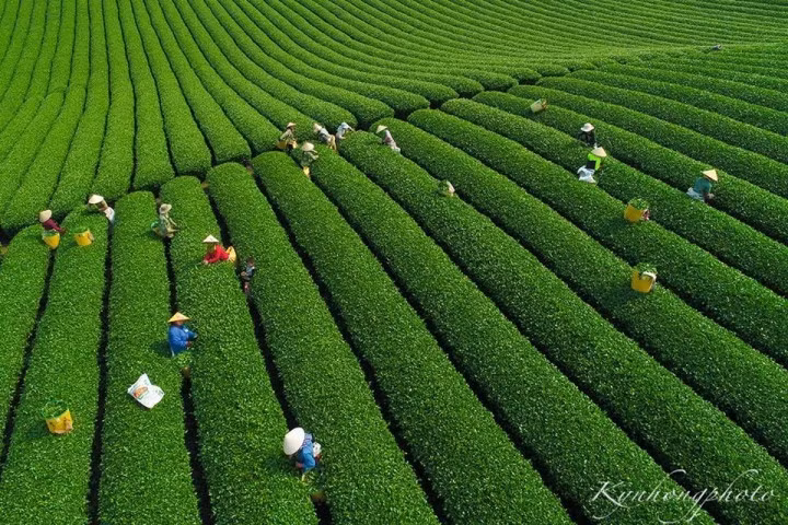 (Ảnh: Đức Kỳ)