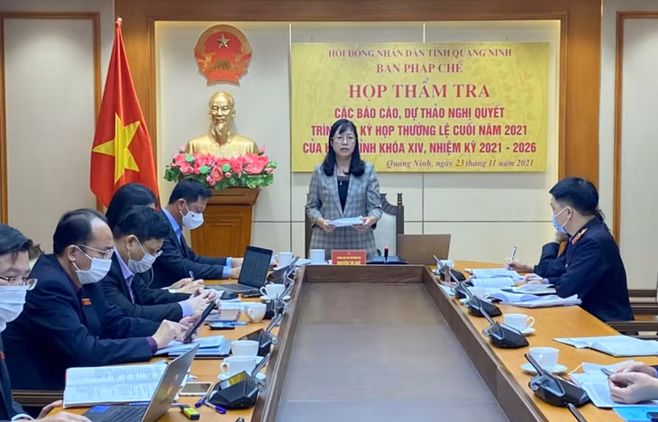 Đồng chí Nguyễn Thị Huệ, Trưởng Ban Pháp chế HĐND tỉnh chủ trì và kết luận buổi thẩm tra.