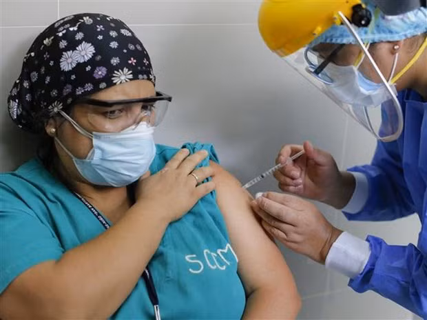 COVID-19: Ly giai ty le tu vong cao nhat the gioi cua Peru hinh anh 1