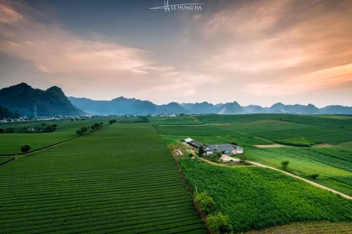 (Ảnh: Lê Hồng Hà)