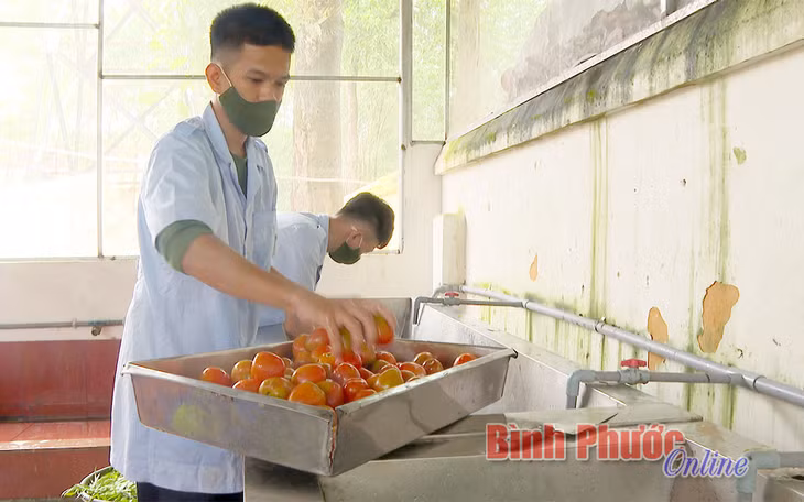 Để có bữa cơm ngon, các chiến sĩ trung đội nuôi quân phải chuẩn bị từ sớm với mong muốn góp phần bảo đảm sức khỏe cho cán bộ, chiến sĩ
