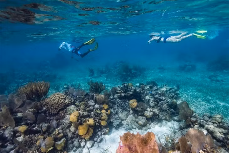 Rạn san hô Belize Barrier là một loạt các rạn san hô trải dài theo bờ biển Belize, khoảng khoảng 300 mét (980 ft) ngoài khơi ở phía bắc và 40 km (25 dặm) ở phía nam bờ biển. Nó được biết đến như là một phần dài 300 km của Hệ thống Rạn san hô Trung Bộ châu Mỹ dài 900 km liên tục từ Cancún trên mũi phía đông bắc bán đảo Yucatán qua Riviera Maya xuống tới Honduras khiến nó trở thành rạn san hô lớn thứ ba thế giới.