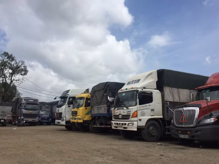 Đa dạng các loại xe tải tại dịch vụ vận tải Phương Vy.