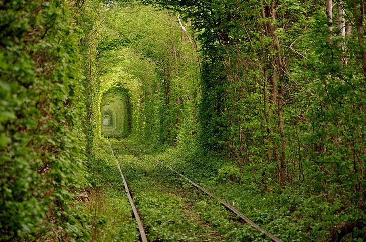 Đường hầm tình yêu ở Ukraine.