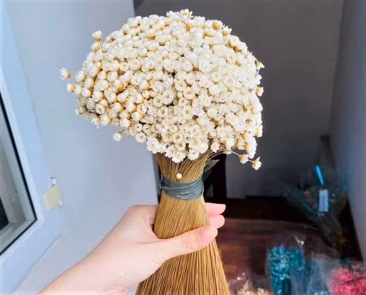 Cúc Glixia “cháy” hàng được nhiều chị em tìm mua trên các chợ mạng. Ảnh: Đ.H