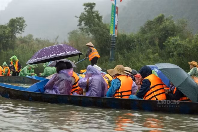 Hà Nội đình chỉ 2 lái đò vi phạm, bị tố “chặt chém” du khách ở chùa Hương. Ảnh: Trí Long