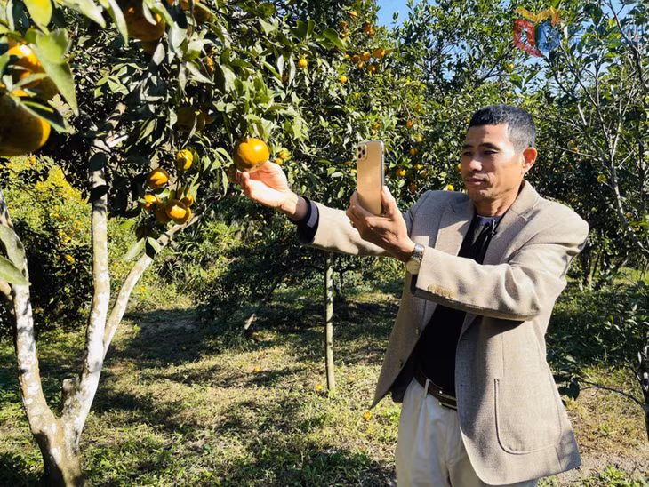 Ông Trần Văn Hậu, chủ vườn cam 68 (đặc khu Vân Đồn) bán hàng qua mạng xã hội.