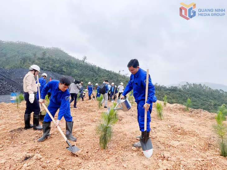 Cán bộ, công nhân Công ty Than Vàng Danh ra quân trồng cây đầu Xuân Bính Ngọ 2026 tại khu vực bãi thải, góp phần cải tạo môi trường và phủ xanh mỏ.