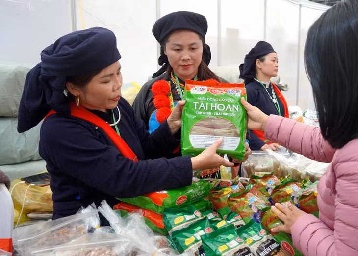 Miến dong là thực phẩm người bệnh thận mạn được khuyến khích ăn - Ảnh minh họa