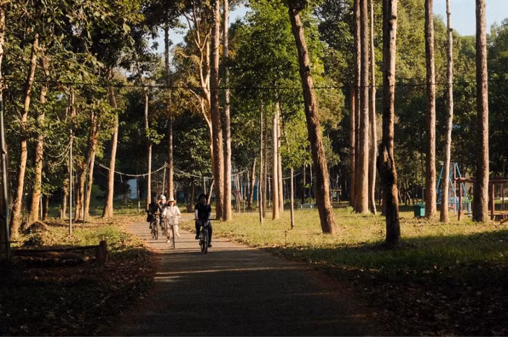 Bạn có thể thuê xe đạp và khám phá VQG Cát Tiên theo khung thời gian mong muốn. Giá thuê xe đạp nguyên một ngày 8 tiếng là 150.000 đồng (100.000 đồng cho 4 tiếng).