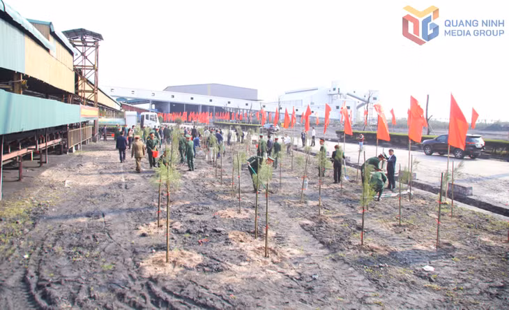 Đông đảo cán bộ, công nhân viên Công ty Tuyển than Cửa Ông - TKV hưởng ứng tham gia Lễ ra quân trồng cây đầu xuân Bính Ngọ 2026.
