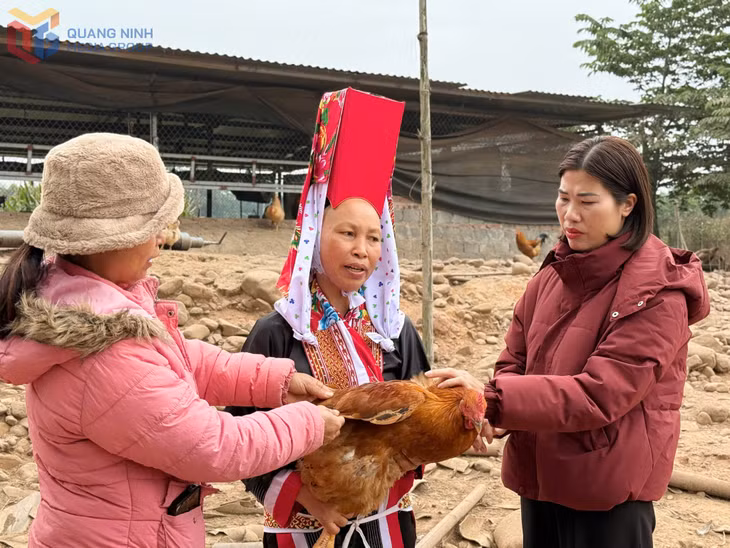 Cán bộ HND xã Đông Ngũ (phải) trao đổi với hội viên, nông dân về đảm bảo ATTP trong chăn nuôi gà thương phẩm.