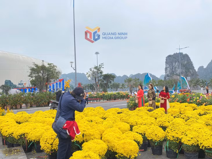 Người dân háo hức chụp ảnh bên các cụm hoa rực rỡ. 