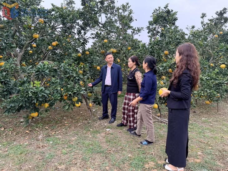Lãnh đạo Ngân hàng Chính sách xã hội Đông Triều kiểm tra việc sử dụng nguồn vốn chương trình giải quyết việc làm để phát triển kinh tế.