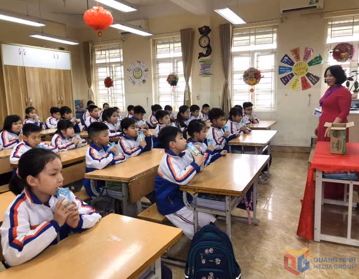 Việc uống sữa cũng được Trường TH Hồng Gai triển khai đồng thời ở cơ sở 2 (Trường TH Hữu Nghị trước khi sáp nhập).